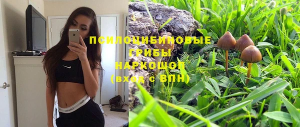 бошки Зеленокумск