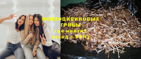 скорость Зерноград