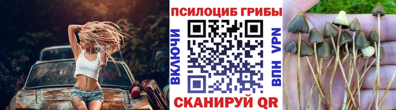 Купить  Весьегонск  Галлюциногенные грибы GOLDEN TEACHER 